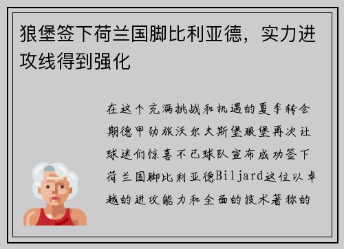 狼堡签下荷兰国脚比利亚德，实力进攻线得到强化