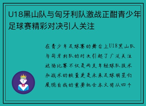 U18黑山队与匈牙利队激战正酣青少年足球赛精彩对决引人关注